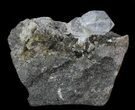 Herkimer Diamonds In Matrix - New York #34044-1